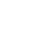 X-icon