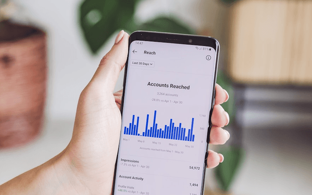 Data-Driven Insights & Forecasting